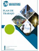 Plan de trabajo GESCOM ANALITICS