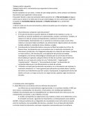 Trabajo Práctico Nº 1: Instrumentos que organizan la tarea escolar