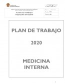 PLAN DE TRABAJO MEDICINA INTERNA