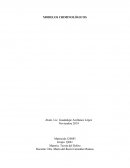 TEORIA DEL DELITO ACTIVIDAD