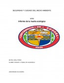 Informe Huella ecologica