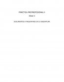 PRÁCTICA PREPROFESIONAL II