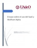 Ensayo sobre el uso de los recursos informáticos en la nube (SaaS)