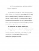 COMPONENTES DEL PLAN DE GESTION DE RESIDUOS INTEGRAL DE RESIDUOS