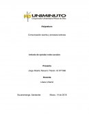 Artículo de opinión redes sociales