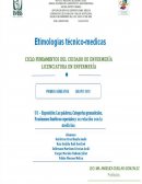 Las palabras y sus cambios (etimologías griegas)