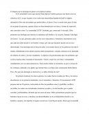 El impacto de la ideología de género en la Iglesia Católica