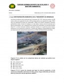 CONTAMINACIÓN AMBIENTAL EN EL TRANSPORTE DE MINERALES