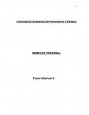 DERECHO PROCESAL ORGÁNICO