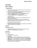 ANATOMÍA BOCA Y ANEXOS