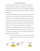 EXAMEN FINAL DIPLOPS 20