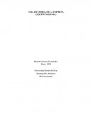 TALLER TEORIA DE LA EMPRESA (EQUIPO NARANJA)