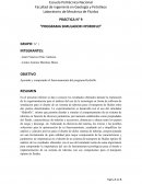 PRÁCTICA N° 9 “PROGRAMA SIMULADOR HYDROFLO”