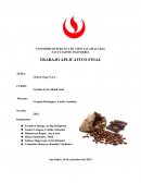 GESTION DE LA CALIDAD ChocoCrispy S.A.C.