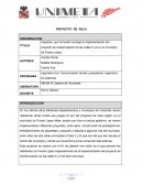 Impactos, que ha tenido consigo la implementación del proyecto de modernización de las calles 5 y 6 en el municipio de Puerto López