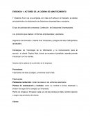 Actores de la cadena de abastecimiento T Dotamos S.A.S