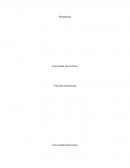 Filosofía institucional. Humanismo