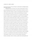 Corridas de toros: ¿tradición o maltrato?