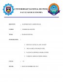 Comercializacion empresa Jet Cargo SAC