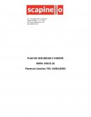 ESTUDIO DE SEGURIDAD E HIGIENE