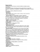 Segmentación. Con base en el caso de Julen y los tenis de fútbol