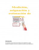 Medición, estimación y asignación de costos