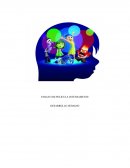 Ensayo pelicula intensamente