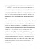 LA INTERPRETACIÓN DE LOS DERECHOS HUMANOS Y LAS OBLIGACIONES DE LAS AUTORIDADES