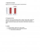 Modelo CANVAS. Segmento de clientes