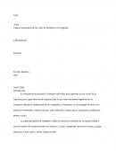 Ensayo importancia de las redes de transporte en la logística