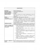 Descripcion de puestos. Gerente de Operaciones