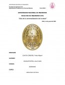 LABORATORIO DE FISICA N° 1