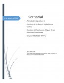 Ser social