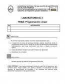 Laboratorio. Programación Lineal