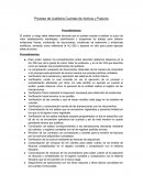 Proceso de Auditoria Cuentas de Activos y Pasivos