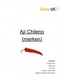 Marketing Internacional