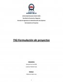 Análisis de Resultados para Validar la Idea de Negocios