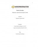 Diagnostico organizacional empresa Colanta