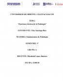 Funciones Basicas de Podologia