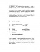 Descripción de observación