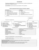 Organizacion. Tipos de organización