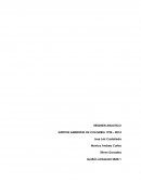 RESUMEN ANALITICO. GESTION AMBIENTAL EN COLOMBIA 1994 – 2014