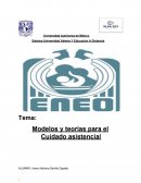 Modelos y teorías para el Cuidado asistencial