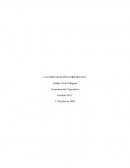 Comunicacion Corporativa Tarea 1