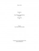 Ensayo critico. La psicología organizacional