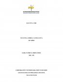 Los conflictos y las formas alternativas de resolución