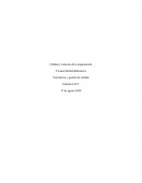 Calidad y contexto de la organización