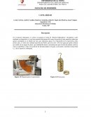 Informe de Fluidos capilaridad