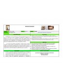 Propuesta pedagógica para Segundo Ciclo