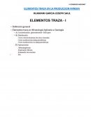 ELEMENTOS TRAZA EN LA PRODUCCION MINERA